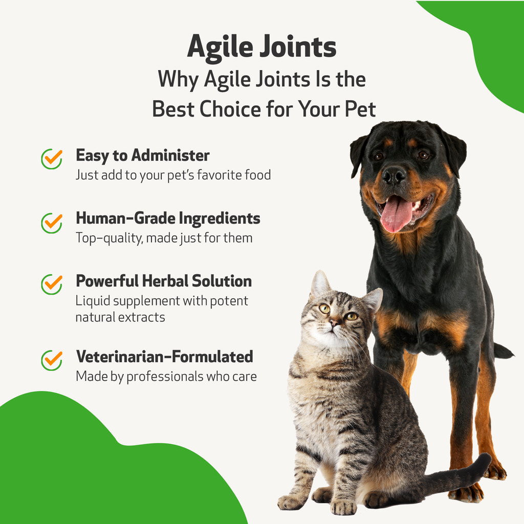 Dog Joint Supplement product image 9