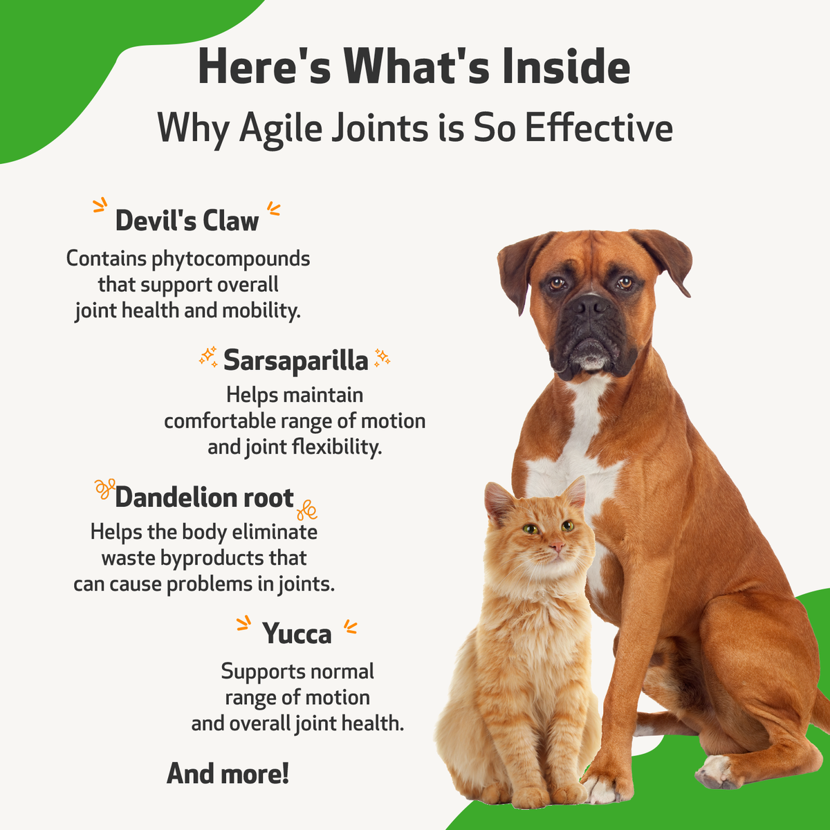Dog Joint Supplement product image 10
