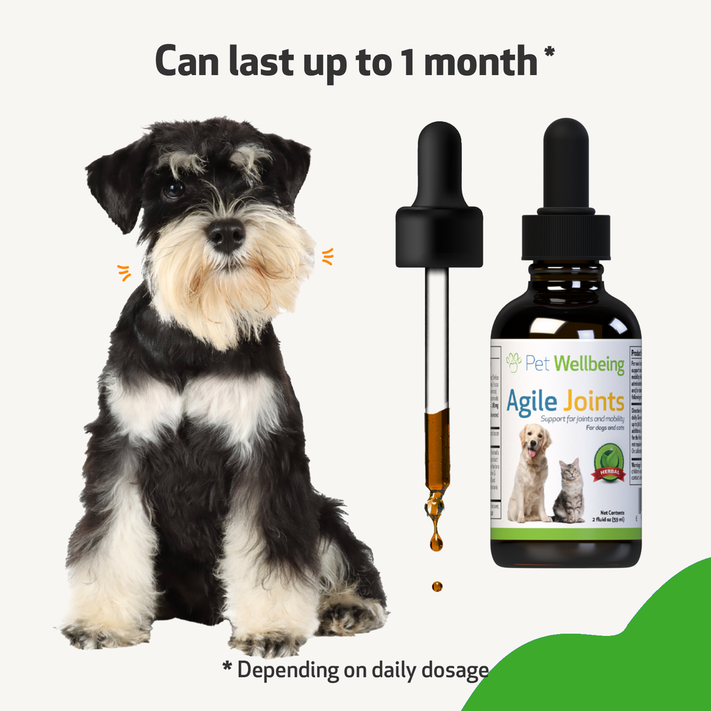 Dog Joint Supplement product image 12