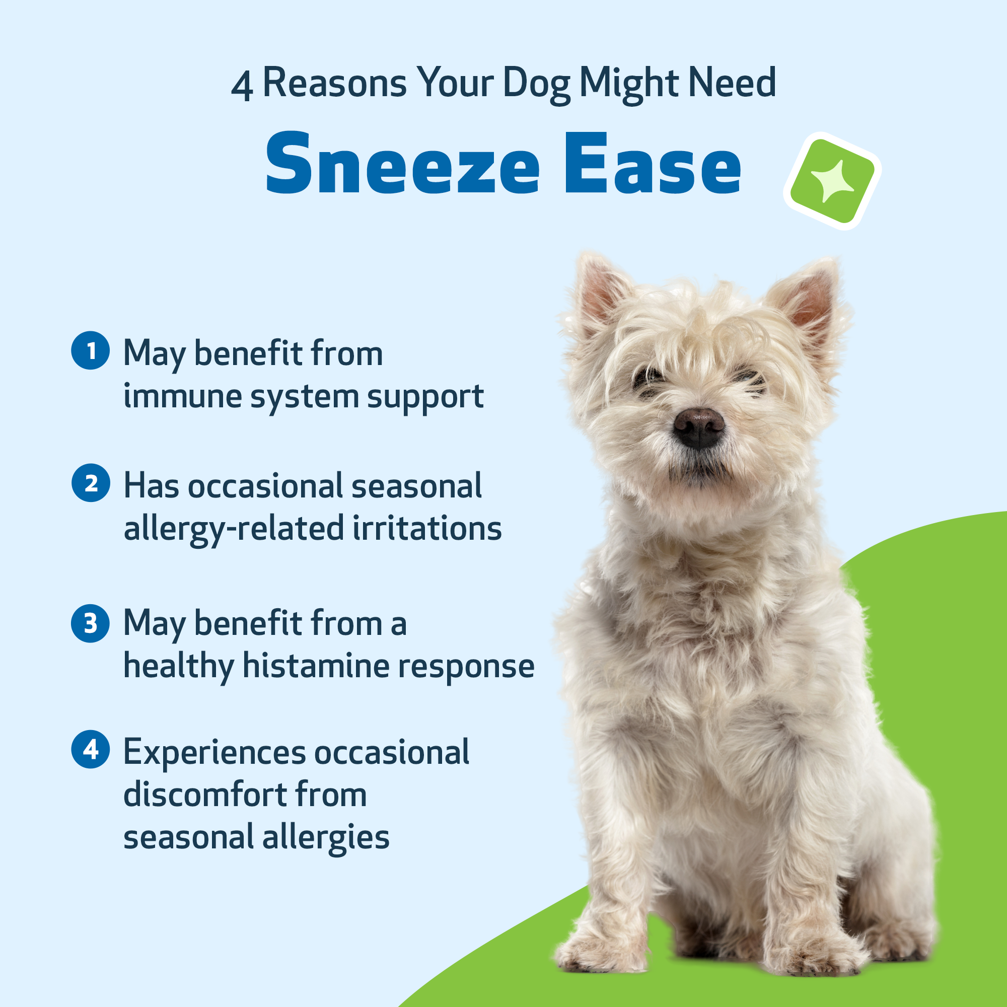 Dog Allergy Supplement product image 5
