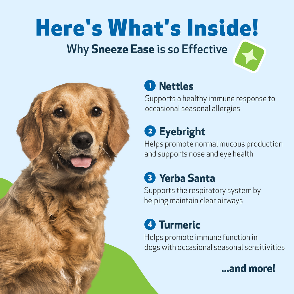 Dog Allergy Supplement product image 8