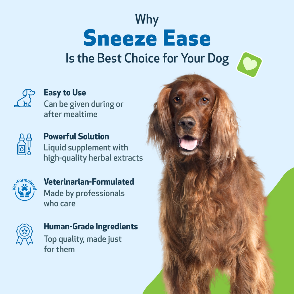Dog Allergy Supplement product image 9
