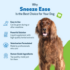 Dog Allergy Supplement product image 9