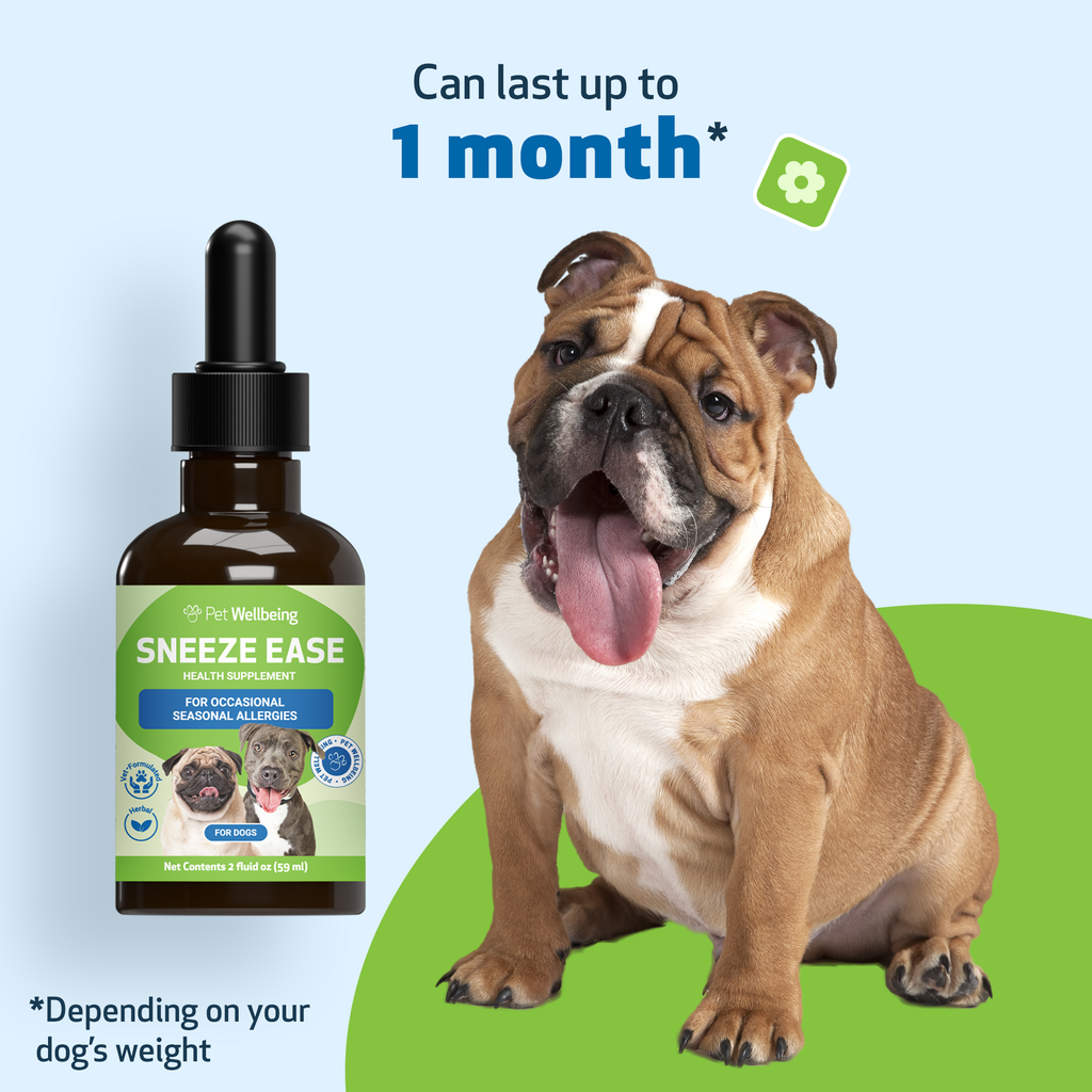 Dog Allergy Supplement product image 11