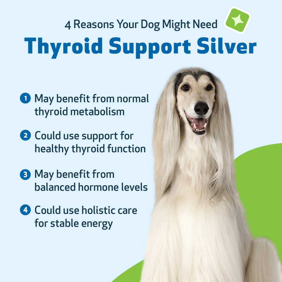 Dog Thyroid Supplement product image 5