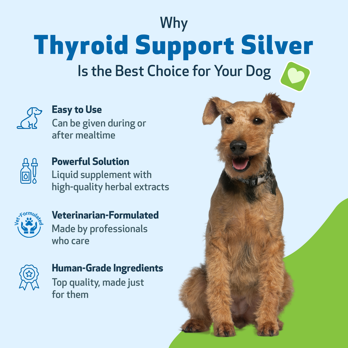 Dog Thyroid Supplement product image 6