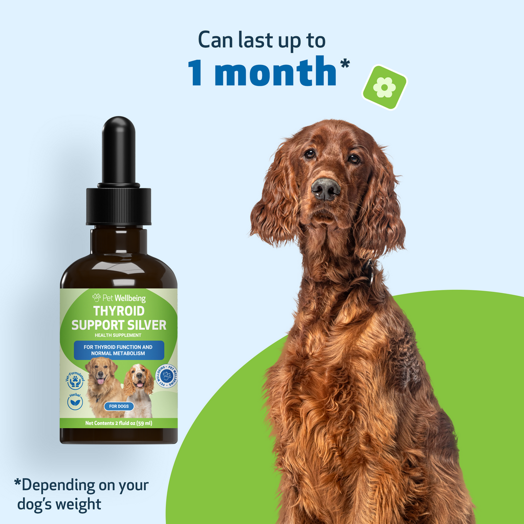 Dog Thyroid Supplement product image 10