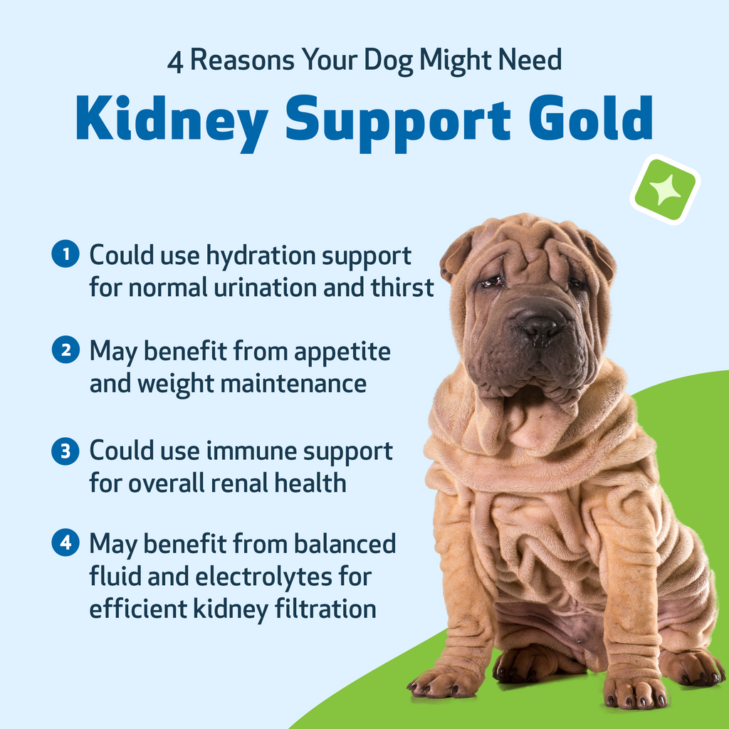 Dog Kidney Supplement product image 3