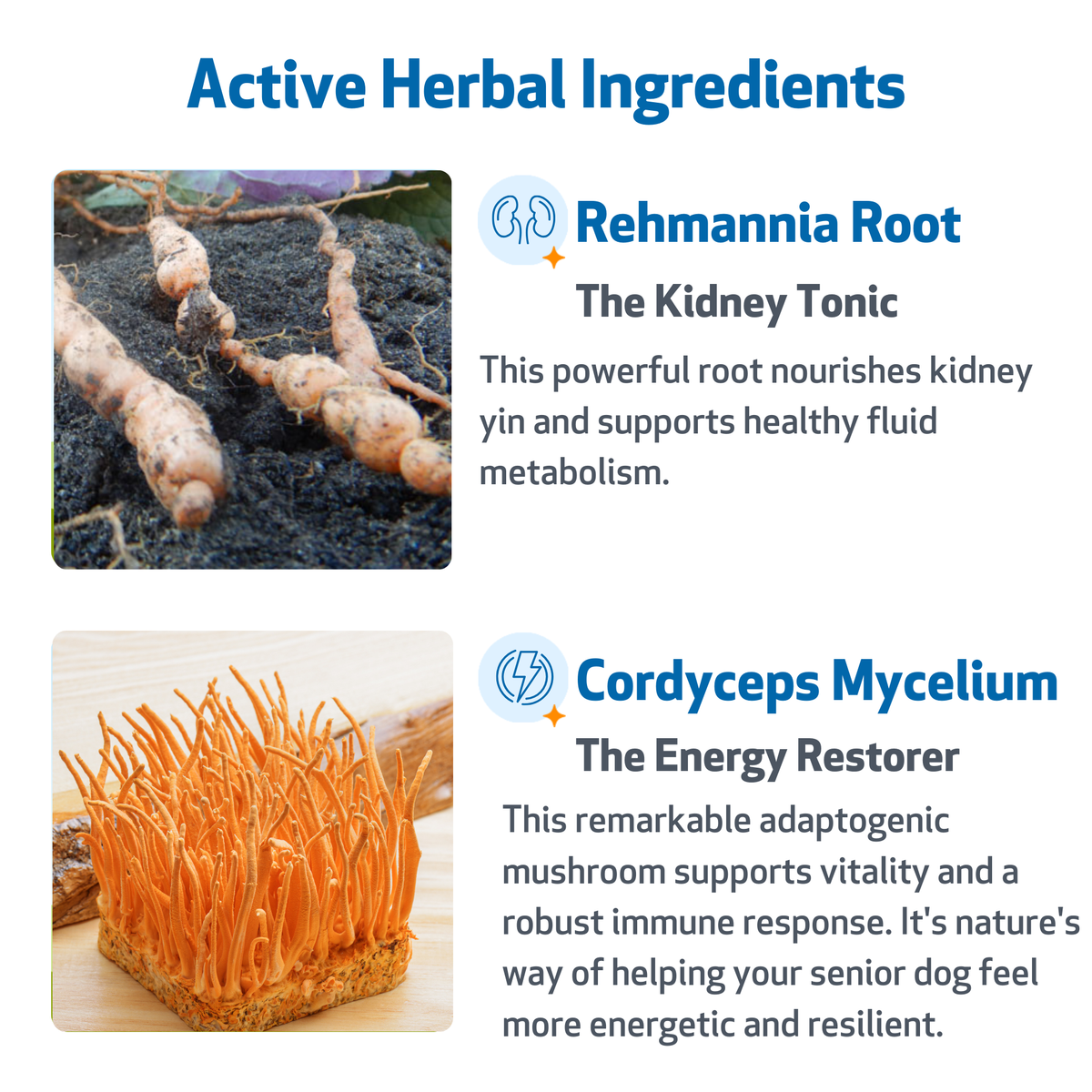 Dog Kidney Supplement product image 4