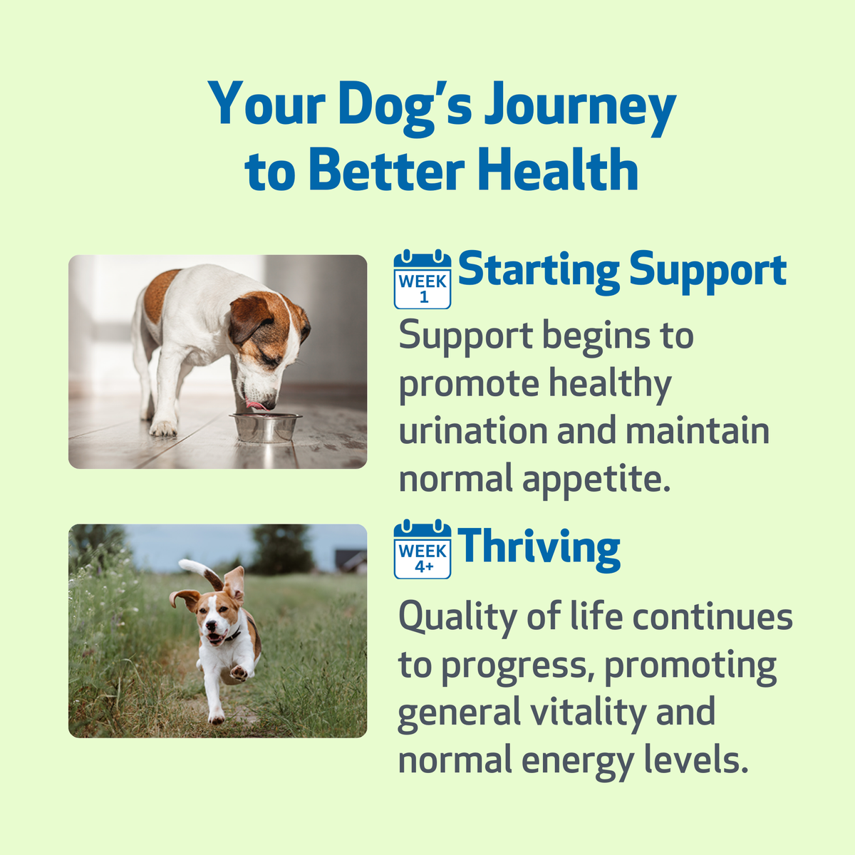 Dog Kidney Supplement product image 6