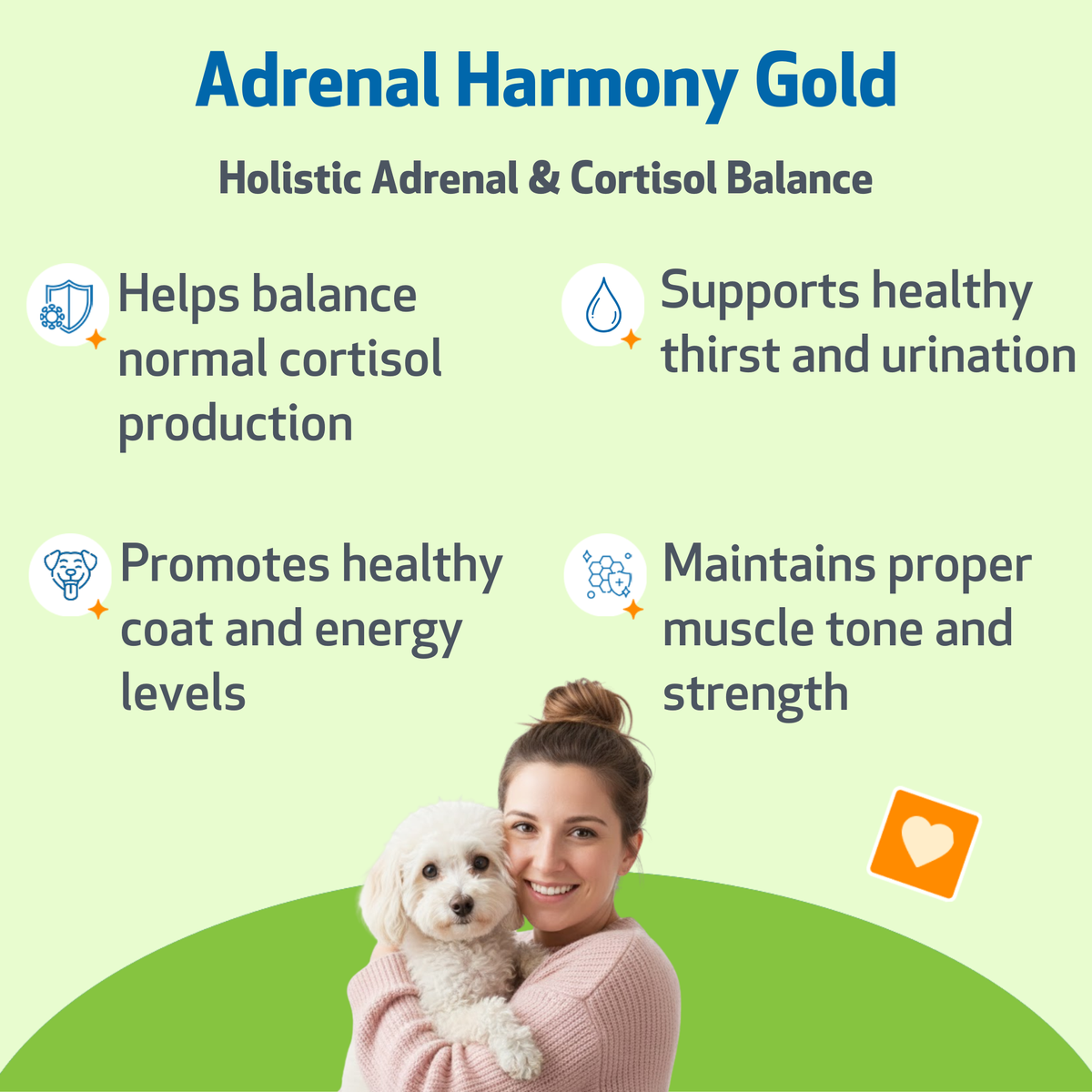 Dog Adrenal Supplement product image 2