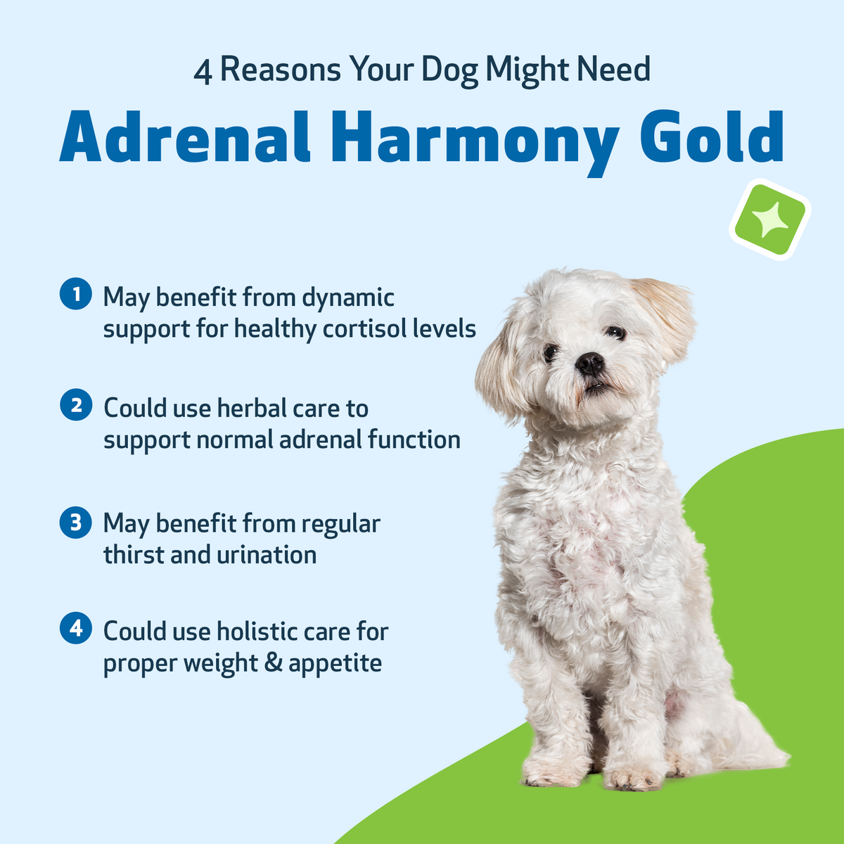 Dog Adrenal Supplement product image 3