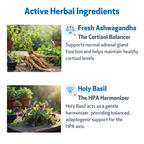 Dog Adrenal Supplement product image 4