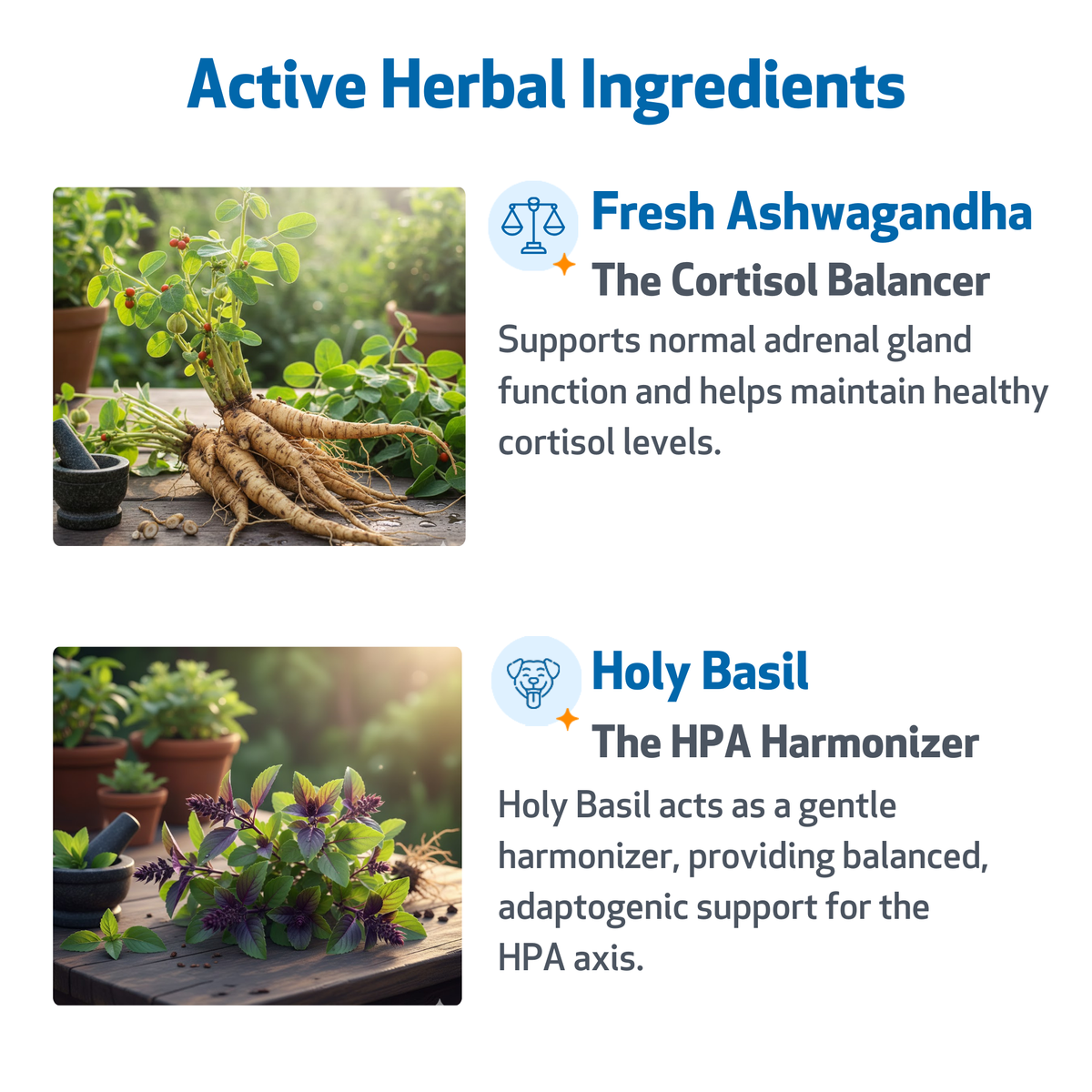 Dog Adrenal Supplement product image 4