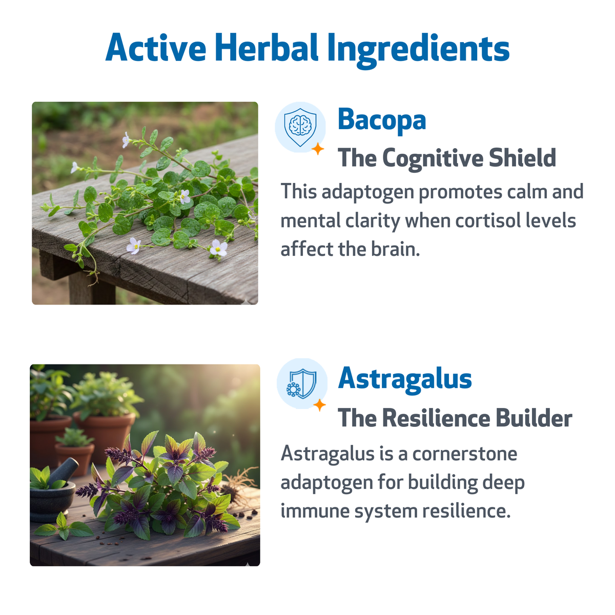 Dog Adrenal Supplement product image 5