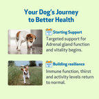 Dog Adrenal Supplement product image 10