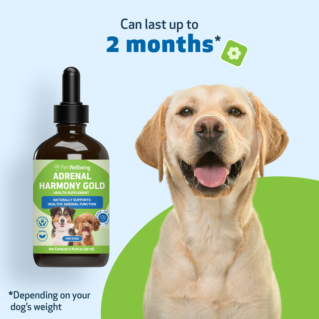 Dog Adrenal Supplement product image 11