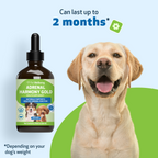 Dog Adrenal Supplement product image 11