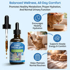 Cat Kidney Supplement product image 2