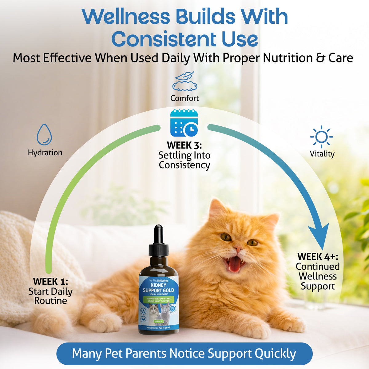Cat Kidney Supplement product image 6