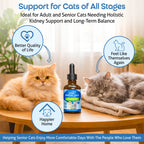 Cat Kidney Supplement product image 9