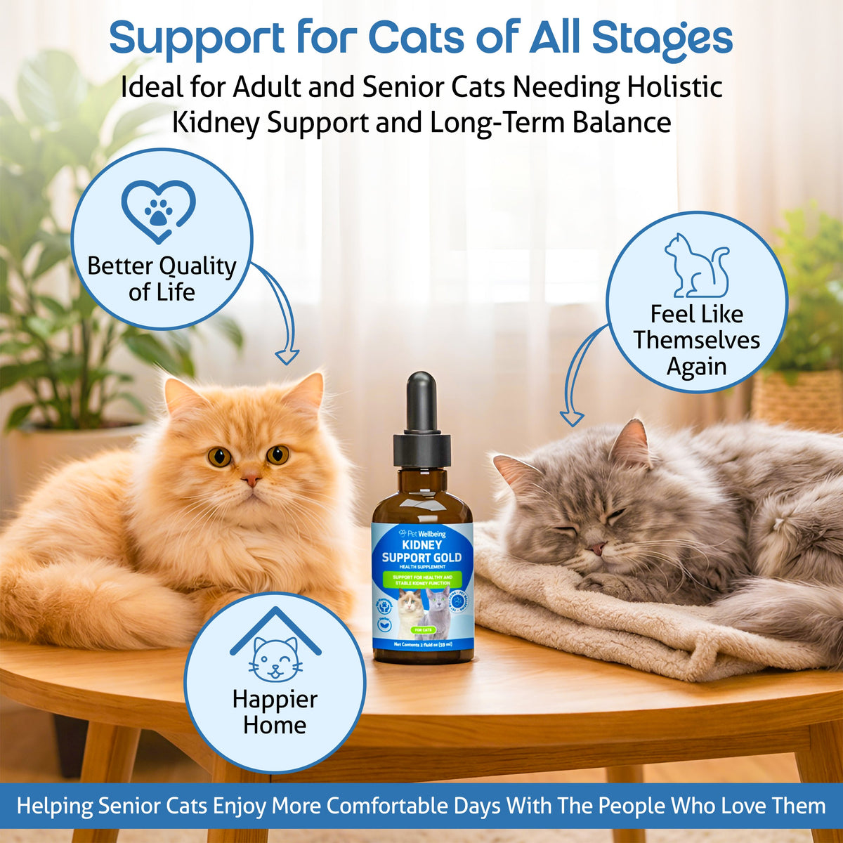 Cat Kidney Supplement product image 9