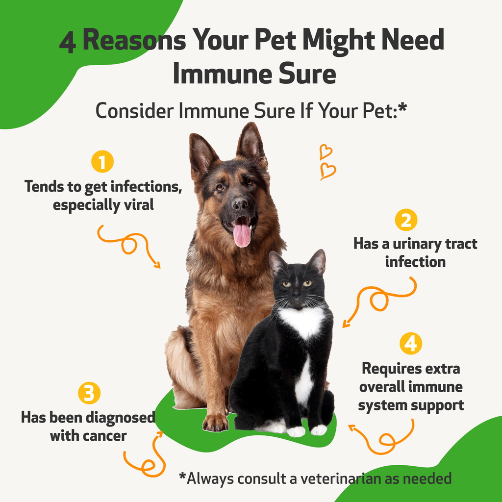 Dog Immune Supplement product image 8