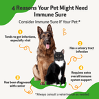 Dog Immune Supplement product image 8