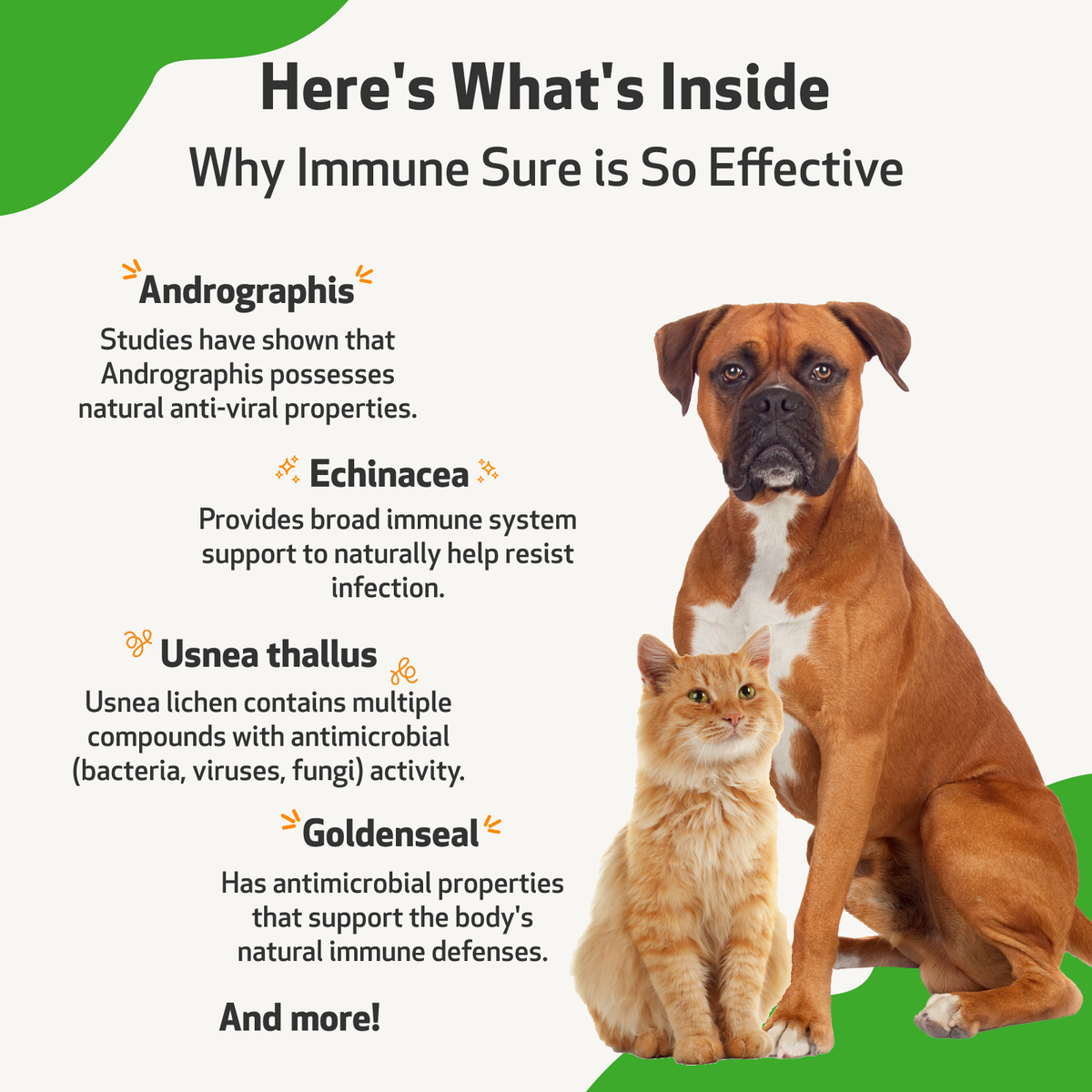 Dog Immune Supplement product image 11
