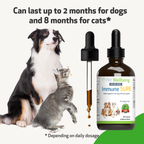 Dog Immune Supplement product image 12