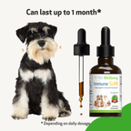 Dog Immune Supplement product image 13