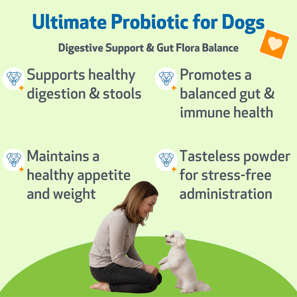 Dog Probiotic Powder product image 2