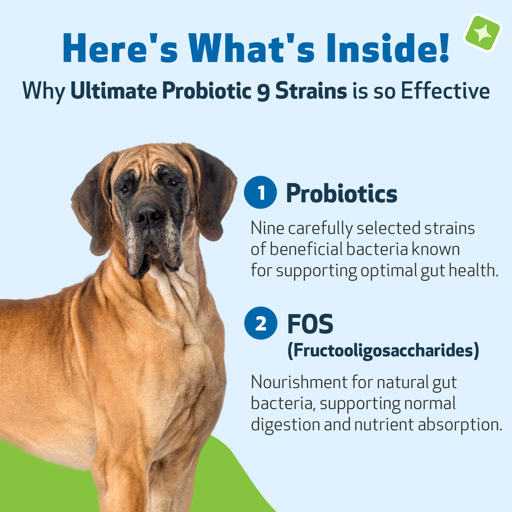 Dog Probiotic Powder product image 3