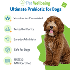 Dog Probiotic Powder product image 5