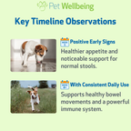 Dog Probiotic Powder product image 8