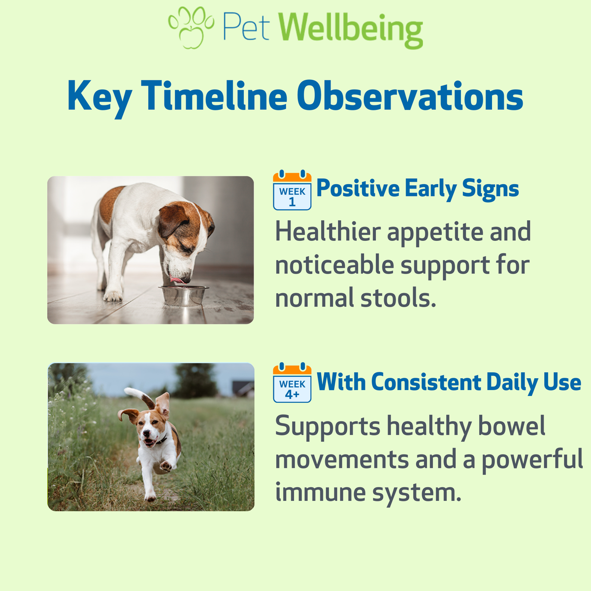 Dog Probiotic Powder product image 8