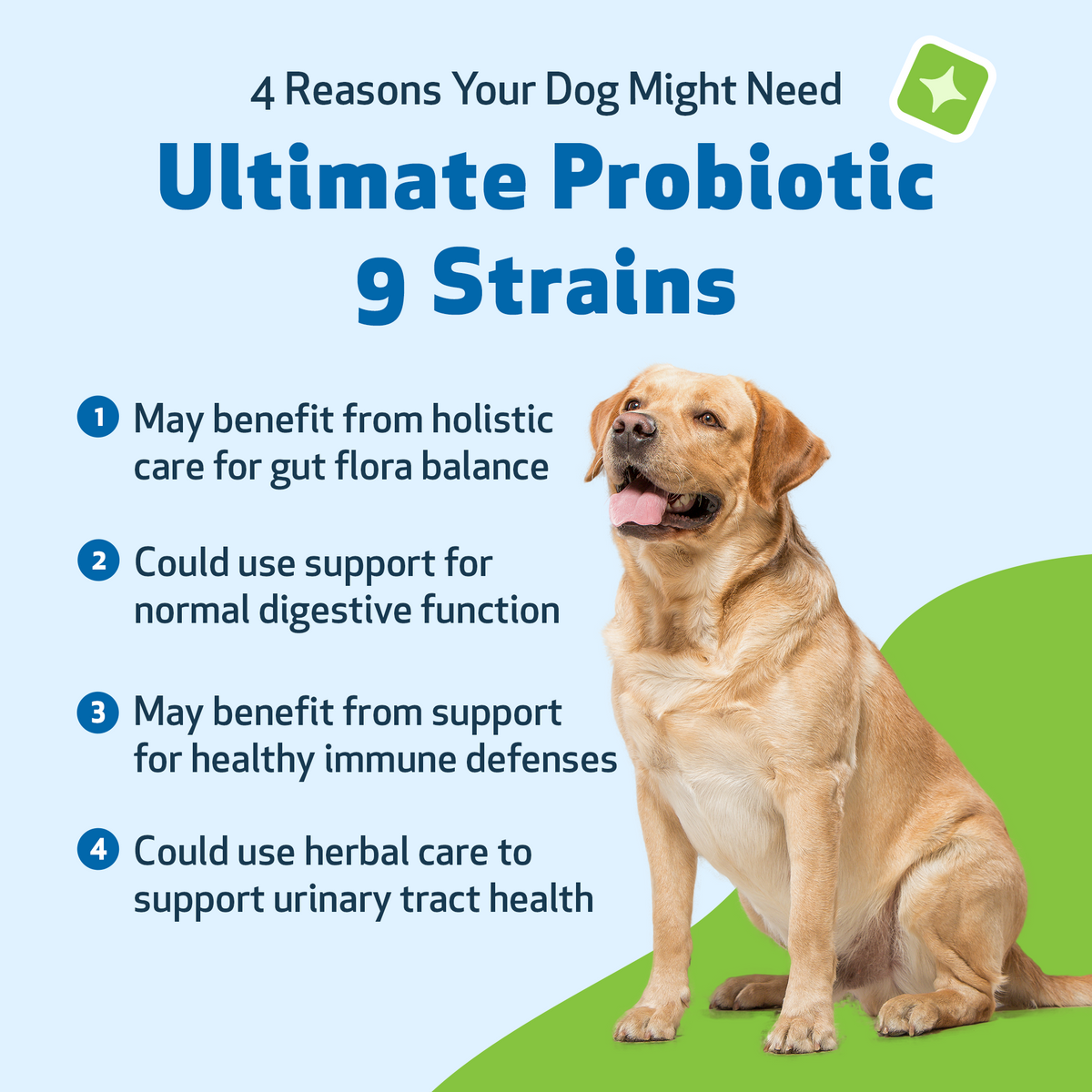Dog Probiotic Powder product image 9
