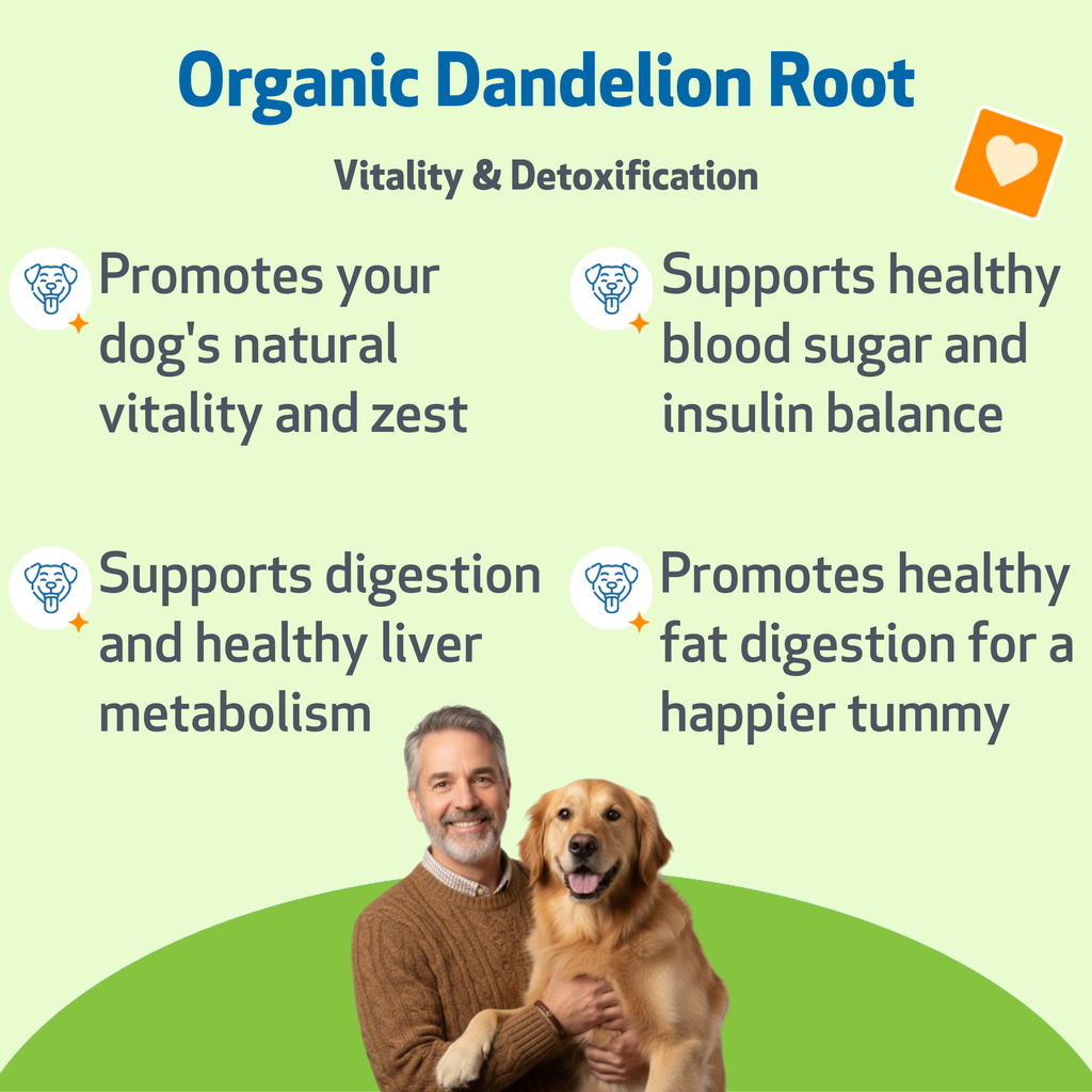 Dog Herbal Supplement product image 2