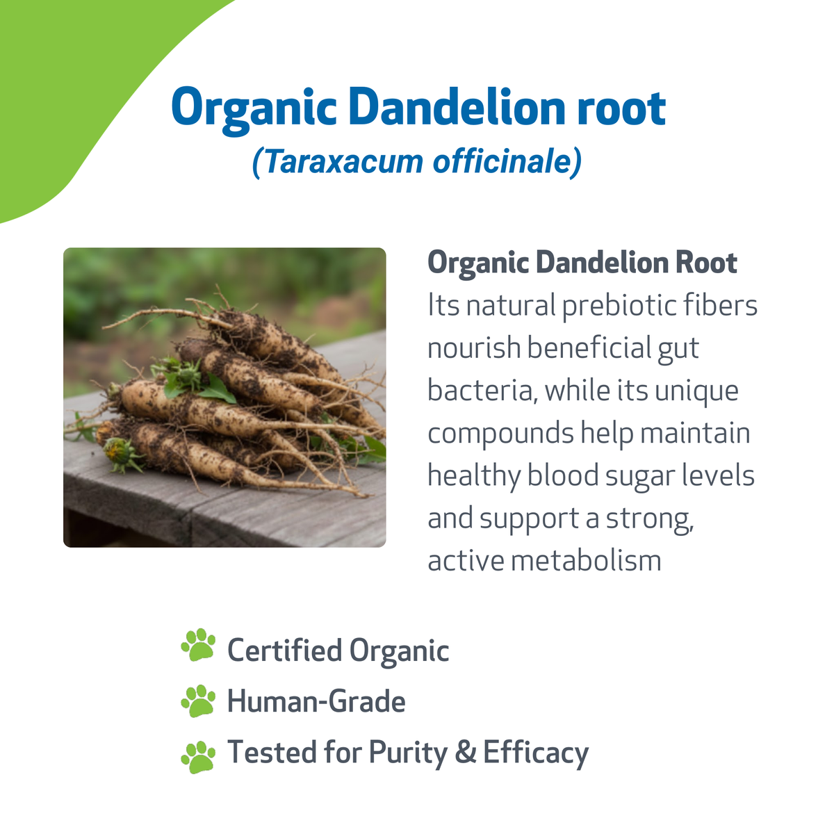Dog Herbal Supplement product image 3