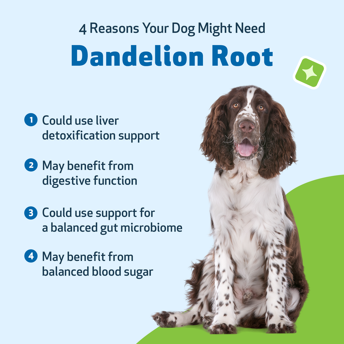 Dog Herbal Supplement product image 9