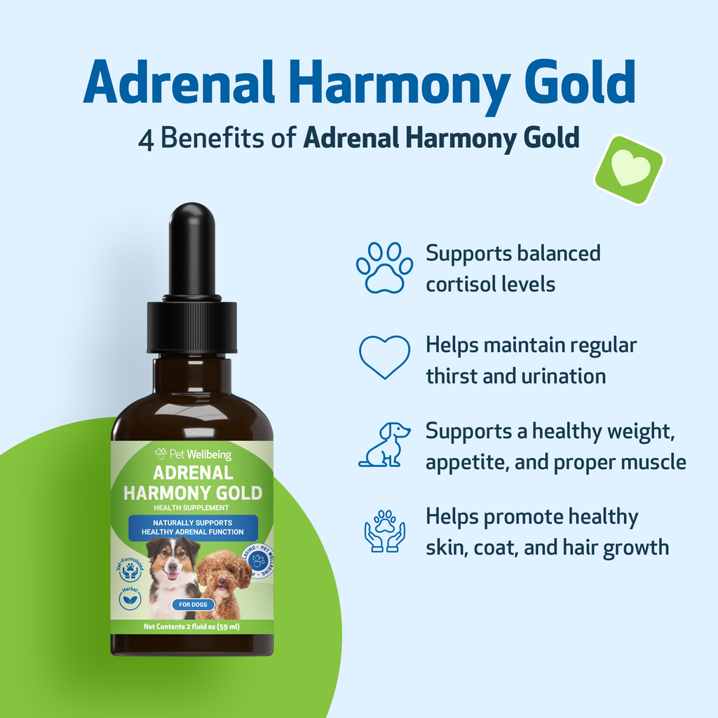 Dog Adrenal Supplement Kit product image 2
