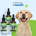 Dog Adrenal Supplement Kit product image 12