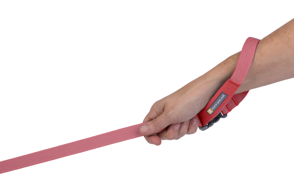 Hands-Free Dog Leash product image 44