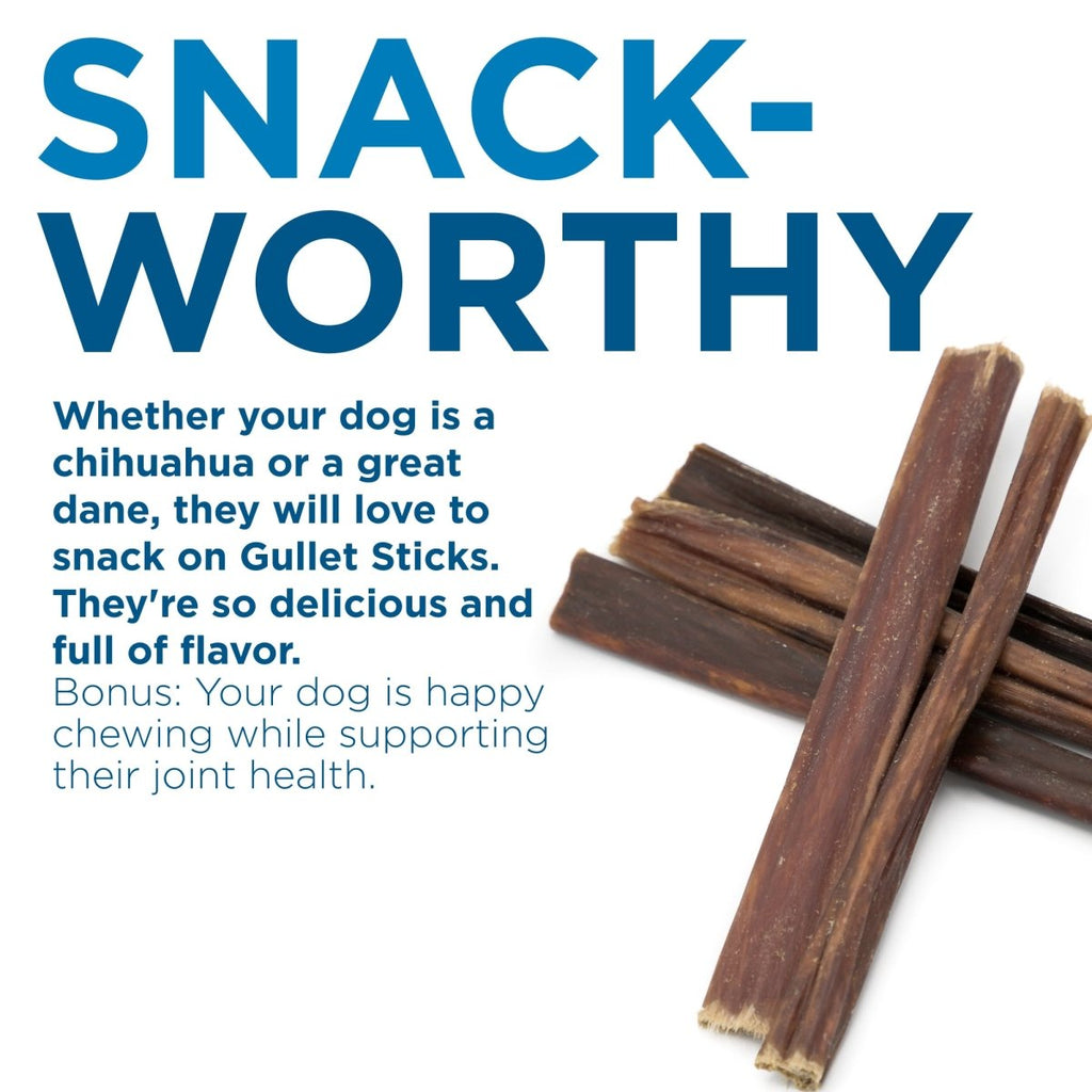 Three Best Bully Sticks 6-Inch Gullet Sticks are shown alongside text highlighting these treats as tasty, joint-supporting snacks ideal for dogs of all sizes.