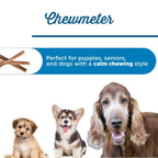 Three dogs of various breeds and ages sit below text: "Perfect for puppies, seniors, and calm chewers." The image also features Best Bully Sticks 6-Inch Gullet Stick dog treats on the left.
