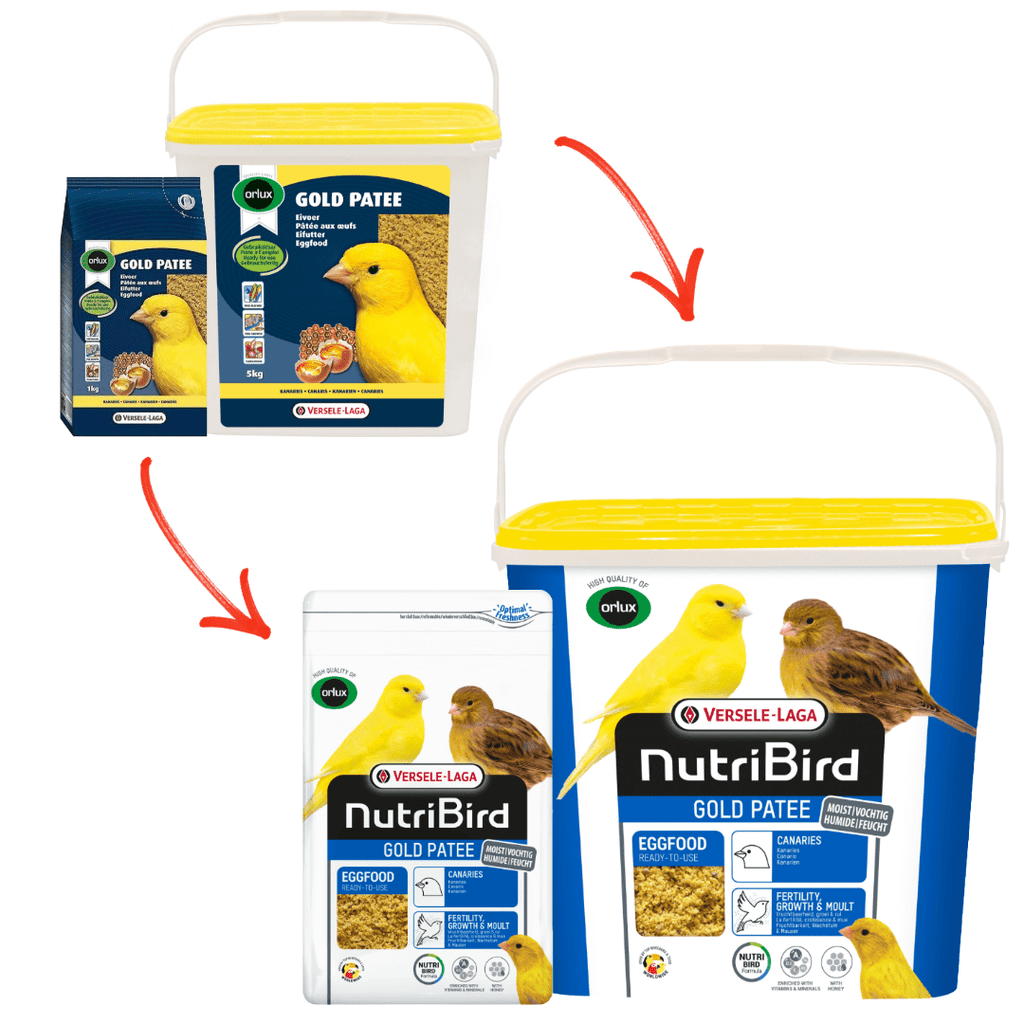 Canary Egg Food product image 1