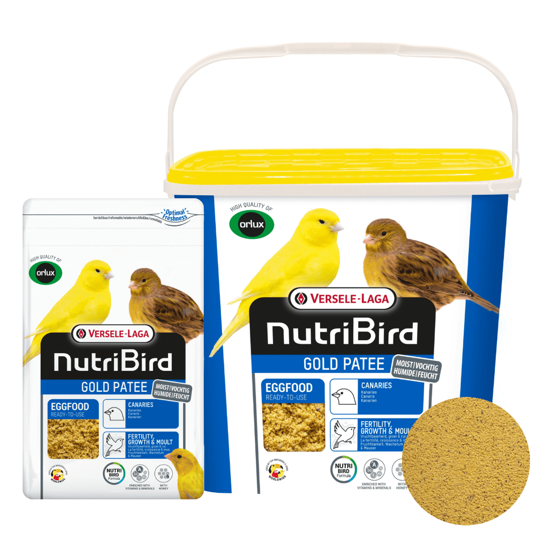 Canary Egg Food product image 2