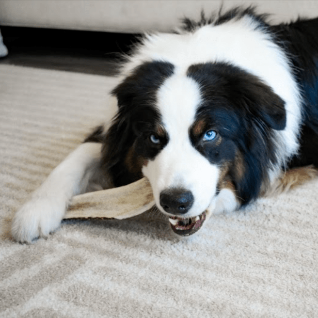 Elk Antler Dog Chew product image 2