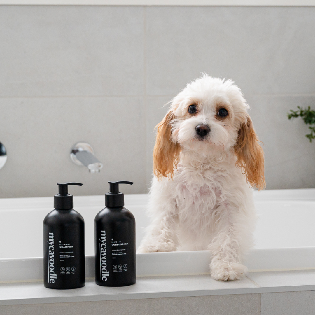 Dog Shampoo and Conditioner Set product image 2
