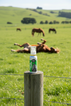 Equine Allergy Support product image 6